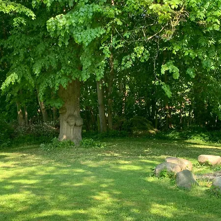 Historic Gamekeeper's House At Castle Σπίτι διακοπών Tranekær